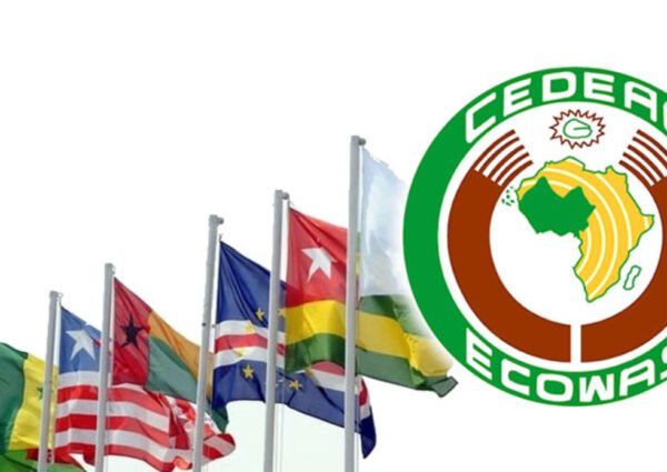 La CEDEAO : Entre Réalisations et Controverses, la Voie d’un Bilan Équilibré
