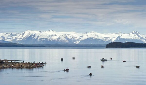 Un fort séisme de magnitude 7,3 secoue les côtes de l’Alaska, alerte tsunami déclenchée