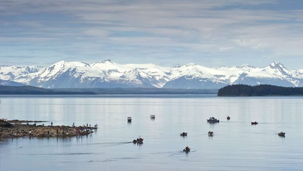 Un fort séisme de magnitude 7,3 secoue les côtes de l’Alaska, alerte tsunami déclenchée